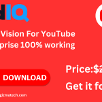 vidIQ Vision For YouTube Enterprise v3.89.0